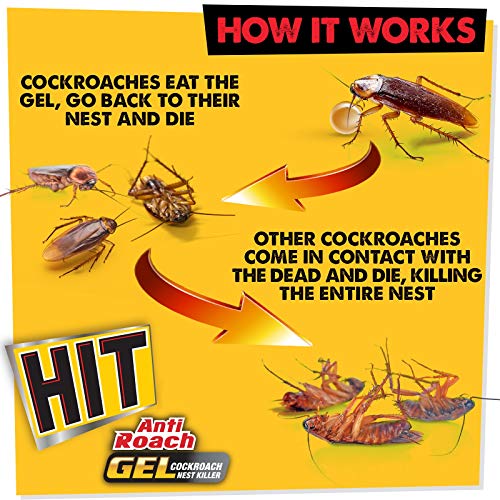 HIT Anti Roach Gel - Cockroach Killer (20g) | Kitchen Safe | Odourless | Fast and Convenient, Pack of 1